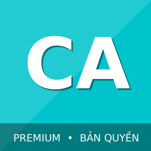 Canva Pro