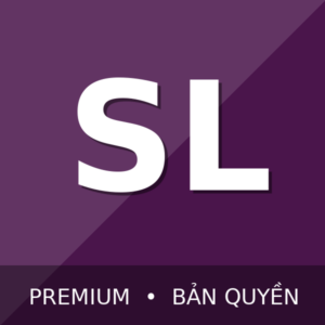 Slack Pro