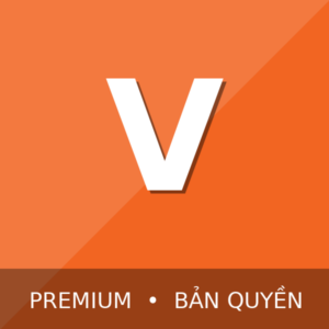 VieON VIP