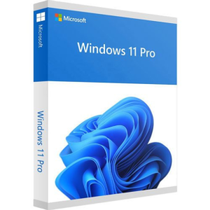 Mua Key Window 10/11 bản Pro vĩnh viễn chỉ 199K