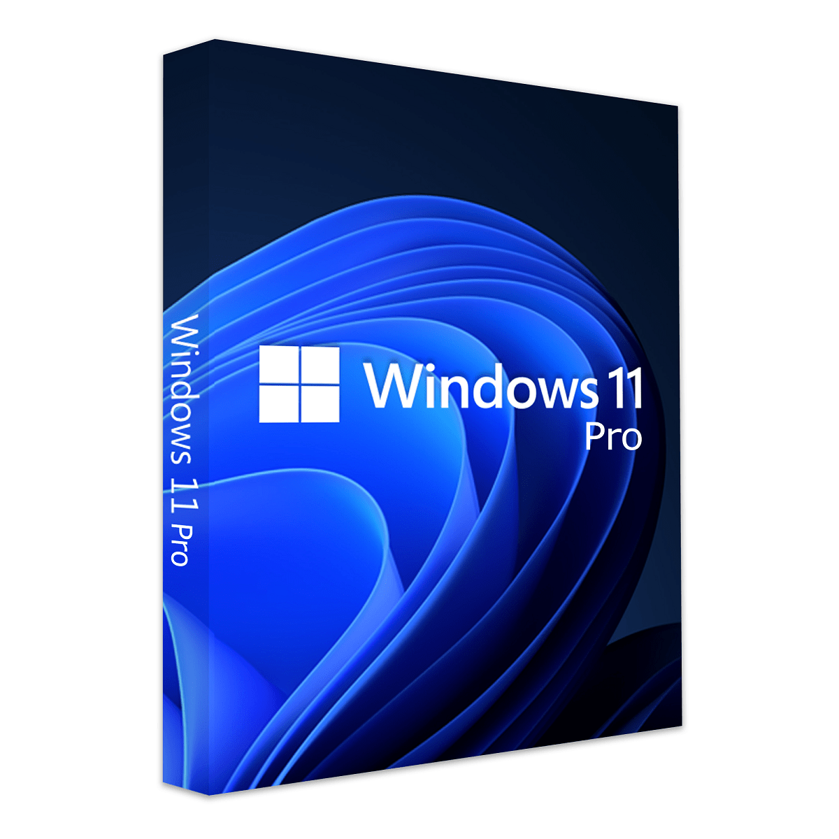 Window 11 Pro Retail